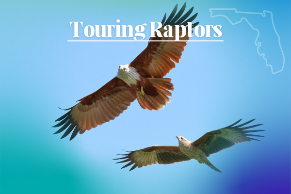 Touring Raptors