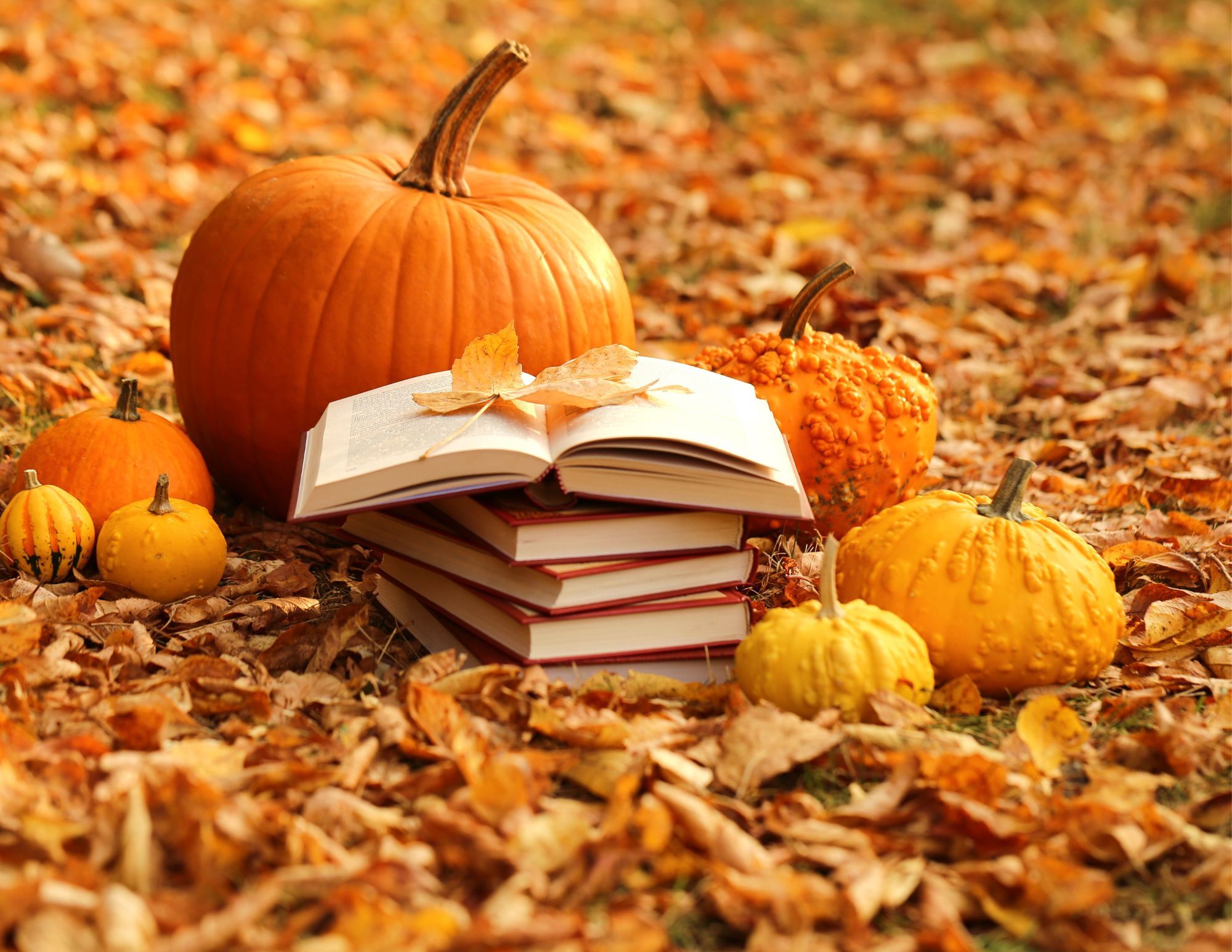 fall books