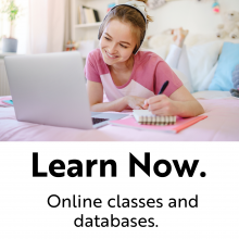 Learn Now graphic that shows a young girl on a laptop with the words "Learn Now. Online Classes and databases"