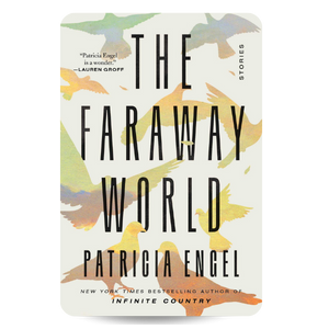 The Faraway World Book Cover